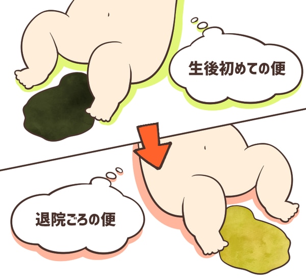 生後初めての便、退院ごろの便